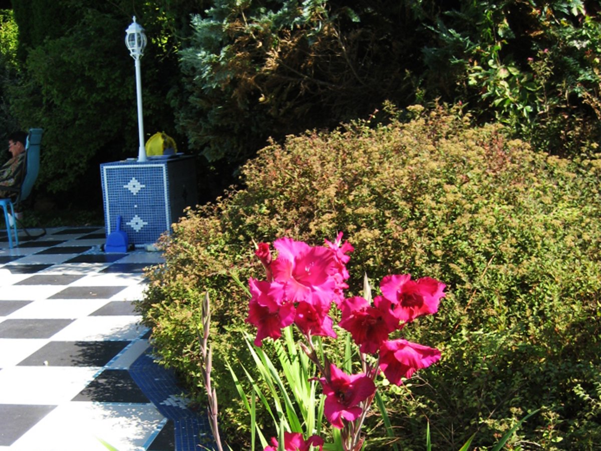 Клумба у бассейна